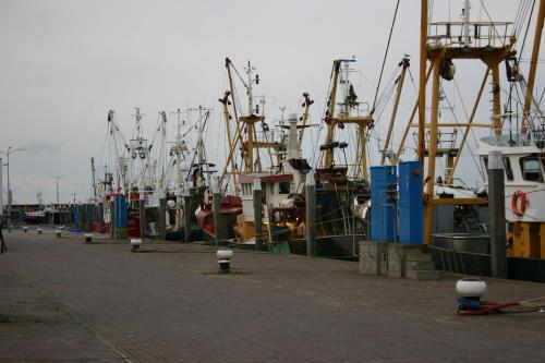 a bunch of boats parked in a dock at Het Huis van de Wadden in Den Oever