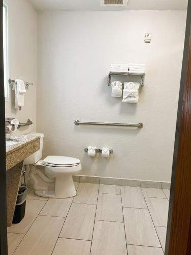 Ванная комната в Comfort Inn & Suites Sheboygan I-43