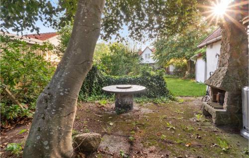 a tree with a bench sitting next to a tree at 3 Bedroom Gorgeous Home In Nexø in Neksø