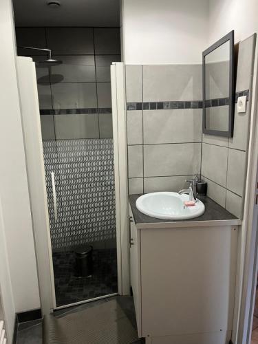 une salle de bain avec un lavabo blanc et une douche dans l'établissement pTIT HUGO, à Saint-Nectaire