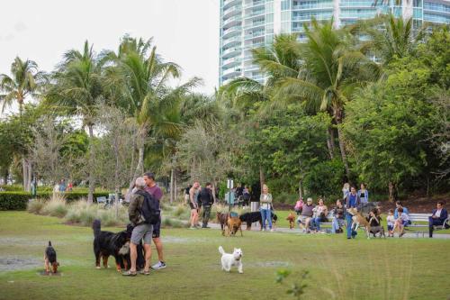 a group of people with dogs in a park at South of Fifth Studio Steps to Beach on Ocean Drive in Miami Beach