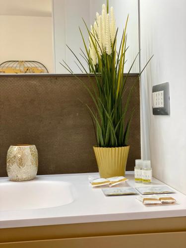 a bathroom sink with a potted plant on the counter at A&A B&B Piccinni in Bari