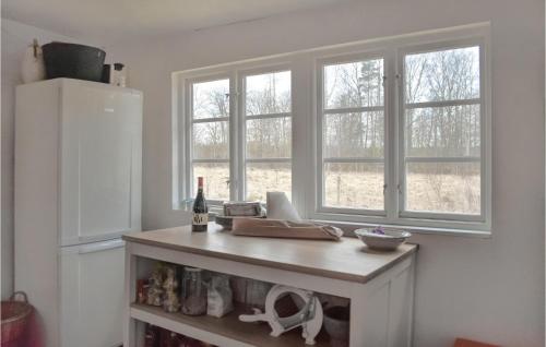 a kitchen with a counter with a refrigerator and windows at Gorgeous Home In Olofström With Wifi in Olofström