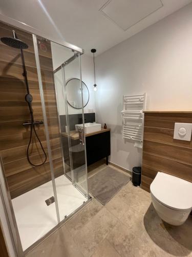 une salle de bain avec une douche, des toilettes et un lavabo dans l'établissement le petit ours, à Orcières