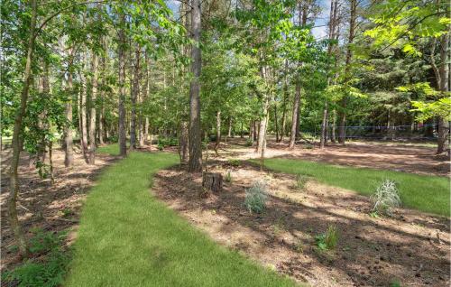 a path through a forest with green grass and trees at Amazing Home In Farsø With Wifi in Farsø