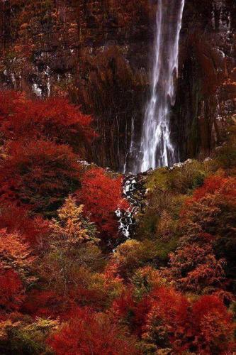 a waterfall on the side of a mountain with trees at Albergue De Soba in Lavín