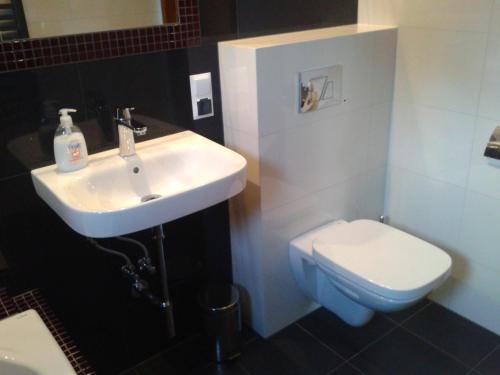 a bathroom with a sink and a toilet at Willa Klaudia Ustroń Centrum in Ustroń