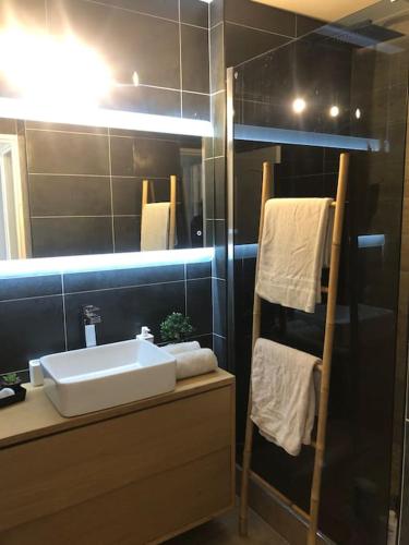 une salle de bain avec un lavabo et une douche avec un miroir dans l'établissement Escapade à 15 mn de L'aéroport Orly 20mn de paris, à Chilly-Mazarin