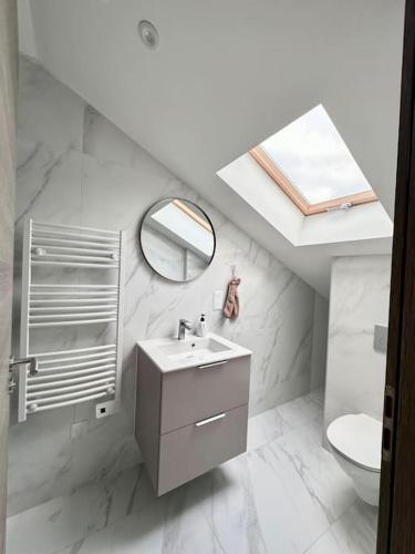 une salle de bain avec un lavabo et un miroir et des toilettes dans l'établissement Maison familiale moderne aux portes de Paris, à Vitry-sur-Seine