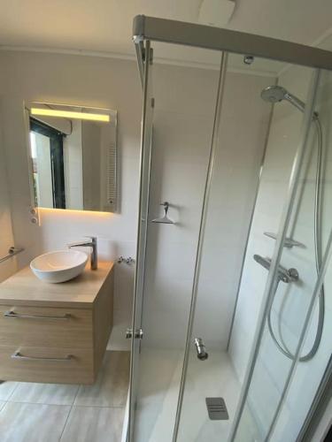 une salle de bain avec une douche en verre et un lavabo dans l'établissement Studio cosy avec jardin, tramway, à Juvignac