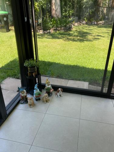 a group of stuffed animals sitting in front of a door at Garden Hideaway-Entirely Private in Beecroft