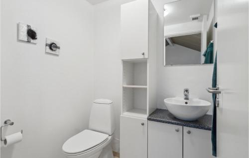 a white bathroom with a toilet and a sink at Awesome Home In Tarm With Sauna in Tarm