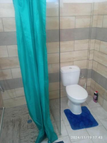 a bathroom with a toilet and a green shower curtain at Hibiscus Location in Le Vauclin
