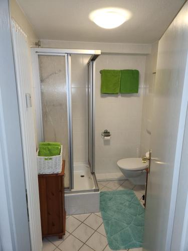 a bathroom with a shower and a toilet and a sink at Ferienwohnung Rosso Vino 1 in Meißen