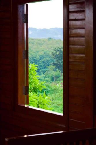 an open window looking out at a lush green field at Rai Phuchat in Ban Pa Thon