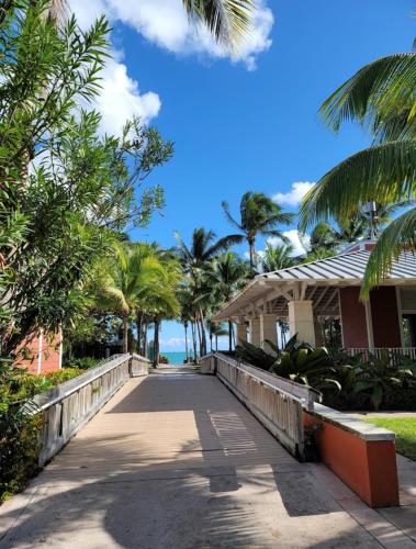 Key Biscayne Beach Vacation photo 10