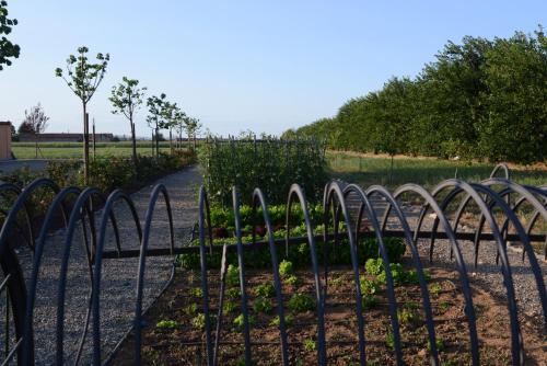 a garden with a fence and some plants at Tenuta La Fiscala in Alessandria