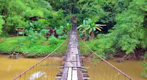a suspension bridge over a river in a forest at Adel Hotel in Kota Kinabalu