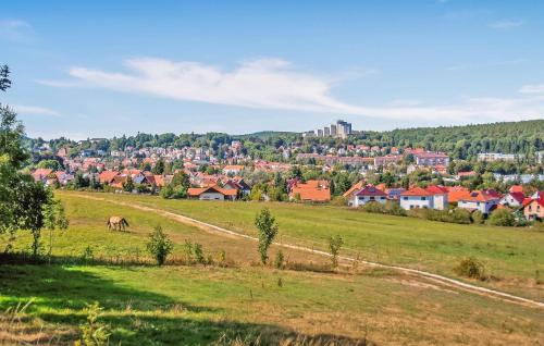 a horse grazing in a field with a town in the background at Ferienwohnung Friedrichroda in Friedrichroda