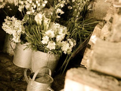 a bunch of flowers in metal buckets at La Saracina in Pienza