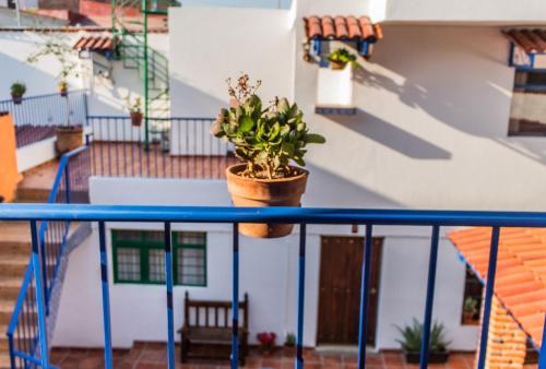 a blue railing with a potted plant on it at Casa de hospedaje -La Abadía de San Pedro in Guadalajara
