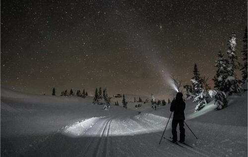 a person on skis in the snow at night at Beautiful Home In Flå With Sauna in Flå