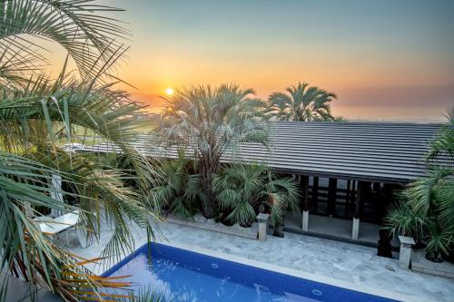 a villa with a swimming pool and palm trees at Sunrise Villa Oarai in Natsumi