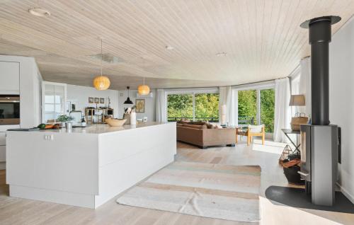 a kitchen and living room with a stove at Awesome Home In Kalundborg With Wifi in Kalundborg
