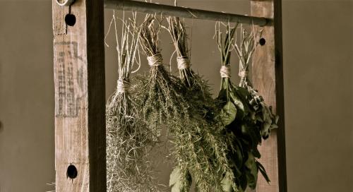 a bunch of plants hanging from a wooden door at La Saracina in Pienza