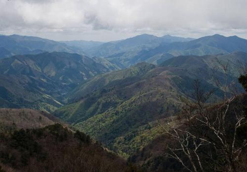 a view of a mountain valley with trees and mountains at JR羽村駅徒歩14分凝った内装でゆったり2DKb203 in Hamura