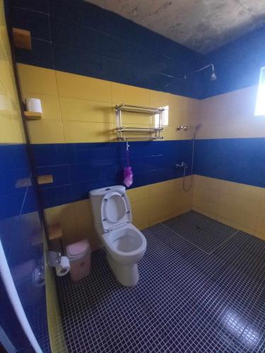 ein Badezimmer mit Toilette und einer blau-gelben Wand in der Unterkunft Rose silva in Portela