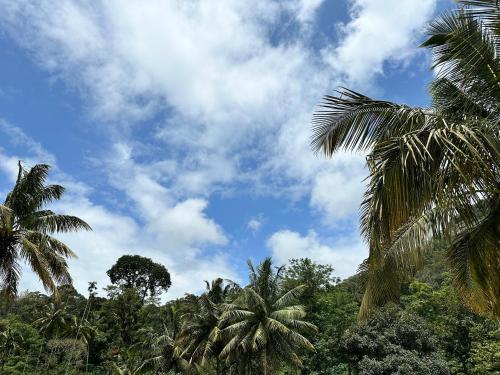 Gallery image of Sherlock Jungle Retreat in Srimangala