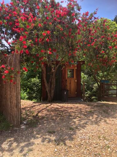 a tree with red flowers in front of a door at Heron Hideaway at First Light Rangihaeata Retreat in Rangihaeata