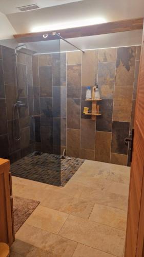 a shower with a glass door in a bathroom at Le Longani 974 in Saint-Pierre