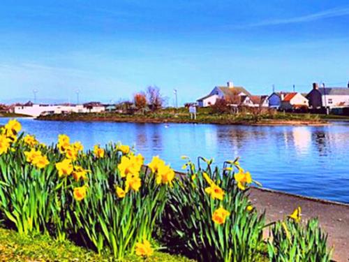 a body of water with yellow flowers and houses at Romantic Lakeside Cottage by the Beach! with Super Cosy Log Burner! The Perfect Escape to Your Home from Home by the Sea! So Relaxing - You Won't want to Leave! Pet Friendly! in Mablethorpe
