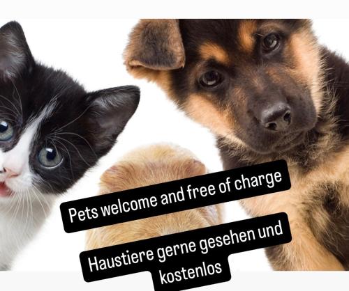 a dog and a cat with signs that say pets welcome and free of change at Mitzis Stubn Apartments - pets no extra cost - Bad Goisern - 24-hour self check-in in Bad Goisern