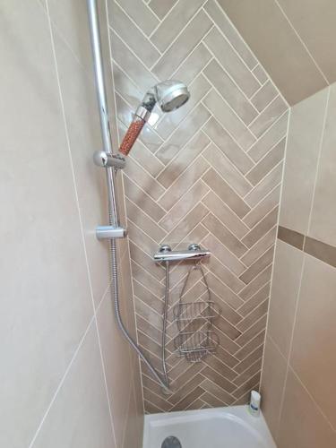 une douche dans une salle de bain avec toilettes dans l'établissement la cigogne d'Alsace 1, à Sélestat