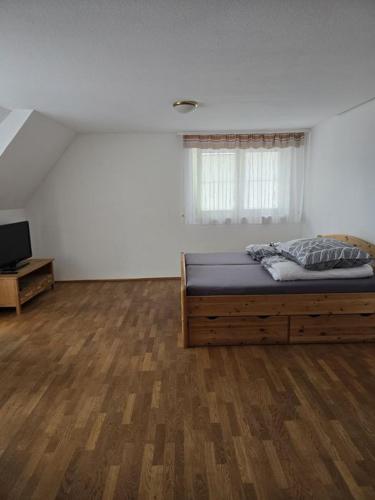 a bedroom with a bed and a television in it at 7 Berge Aussicht in Freden