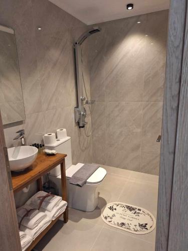 a bathroom with a shower and a toilet and a sink at 5th Continent in Nikiana