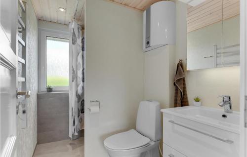 a white bathroom with a toilet and a sink at Lovely Home In Haderslev With Wifi in Haderslev