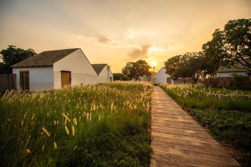 a wooden path through a field with a house at Roukh Kiri Khaoyai, The Centara Collection in Pak Chong