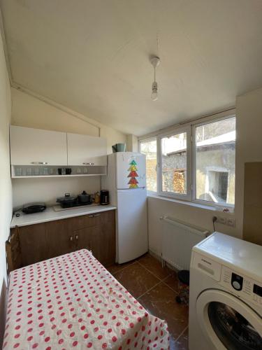 a kitchen with a white refrigerator and a washing machine at Mamuka Chartolani Guesthouse in Mestia