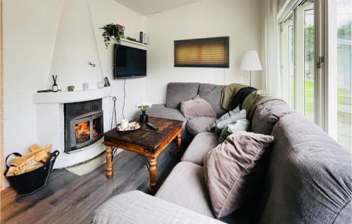 a living room with a couch and a fireplace at 1 Bedroom Awesome Home In Ronneby in Ronneby