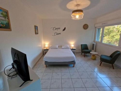 Studio cosy Tours-Sud