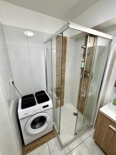une salle de bain avec douche et machine à laver dans l'établissement Studio cosy Tours-Sud, à Tours