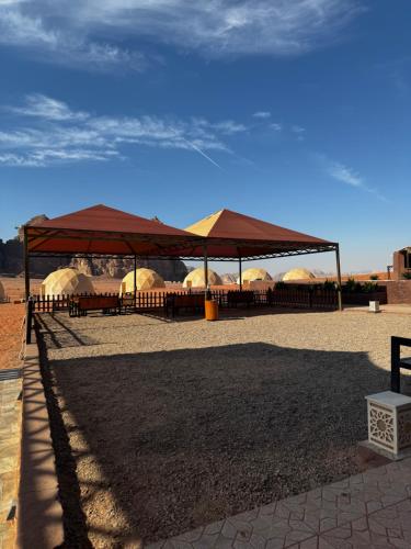 a group of umbrellas in a field with some sand at Rum Angel Camp in Wadi Rum