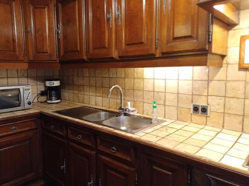 a kitchen with a sink and a microwave at Guesthouse La maison de Fille in Diest