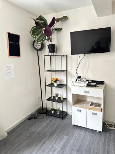 une pièce avec une télévision et une plante au mur dans l'établissement Iris, à Graulhet