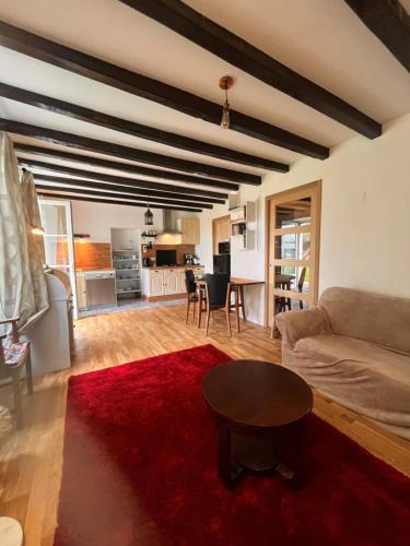 a living room with a couch and a red rug at Studio indépendant T1, entre Nantes et Rennes in Conquereuil