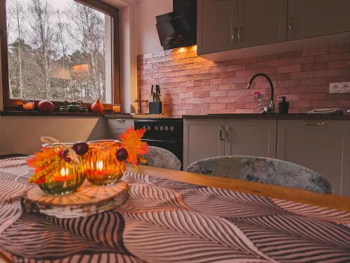 Kuchyň nebo kuchyňský kout v ubytování Wilczy Apartament
